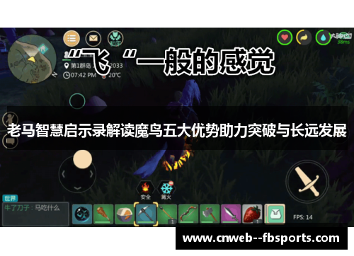 老马智慧启示录解读魔鸟五大优势助力突破与长远发展 老马智慧启示录解读魔鸟五大优势助力突破与长远发展