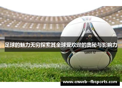 足球的魅力无穷探索其全球受欢迎的奥秘与影响力 足球的魅力无穷探索其全球受欢迎的奥秘与影响力