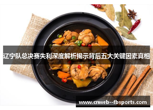 辽宁队总决赛失利深度解析揭示背后五大关键因素真相